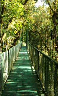 Puente